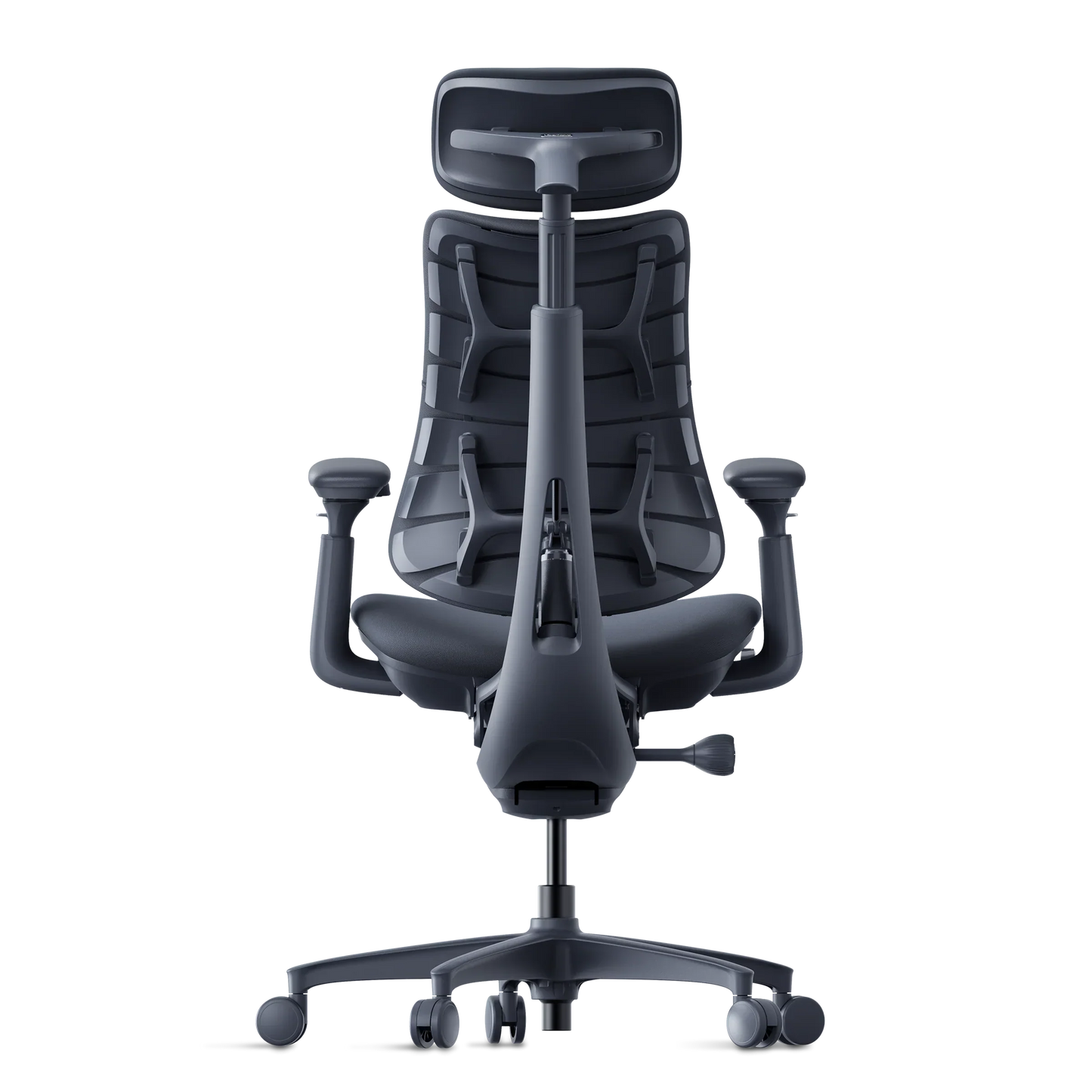 Omni Dynamisk Ergostol