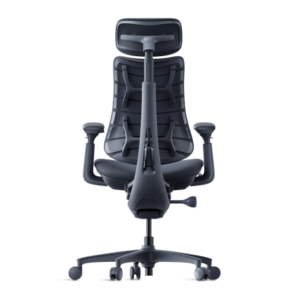 Omni Dynamisk Ergostol